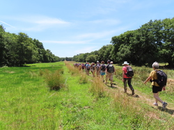 Île Tudy par Jacques
