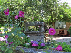 Île Tudy par Jacques